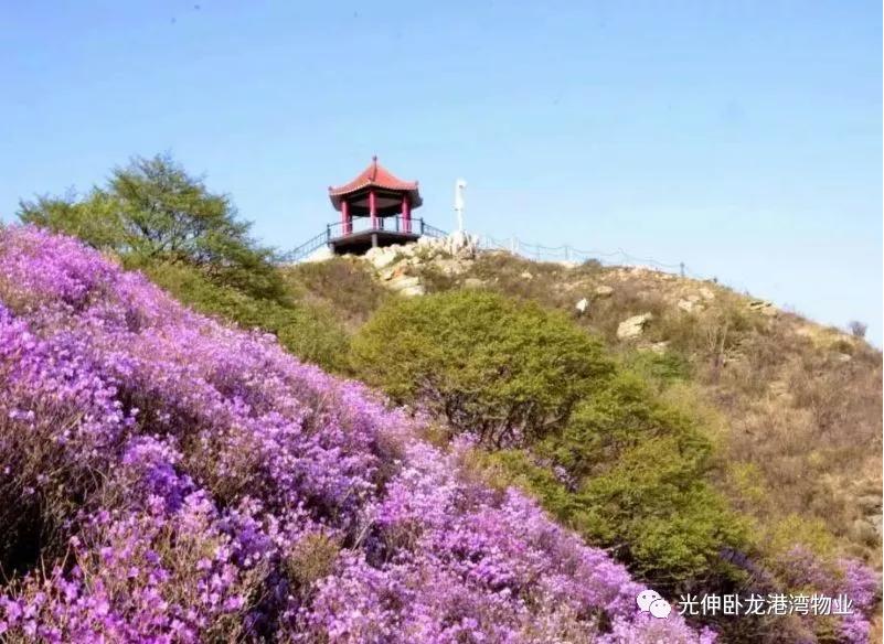 必发7790(中国区)电子集团-线上平台登录入口