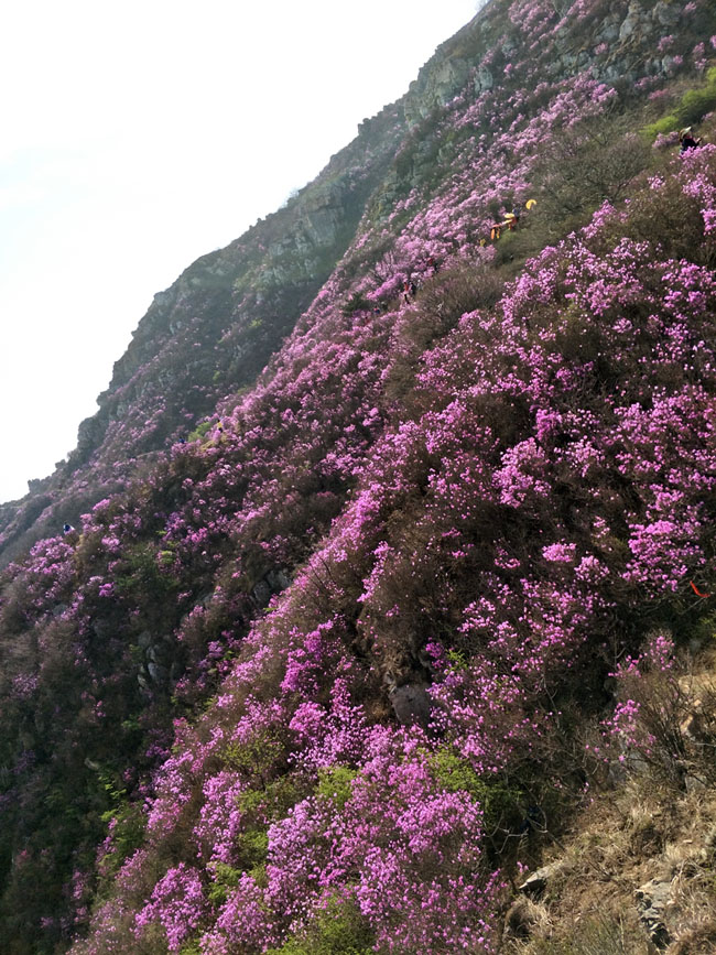 必发7790(中国区)电子集团-线上平台登录入口