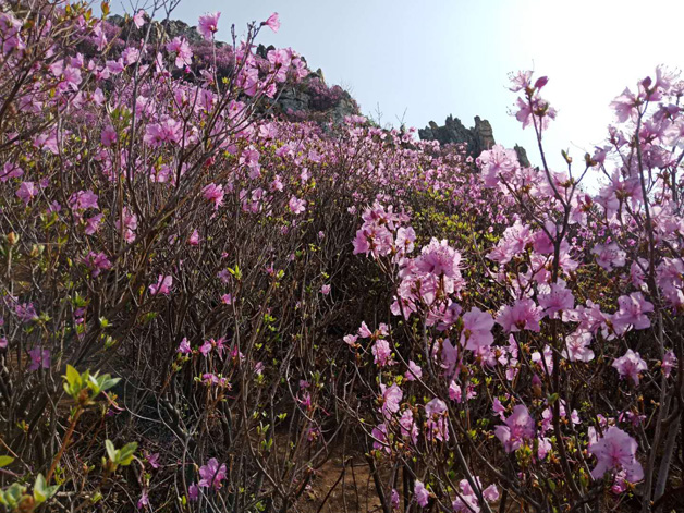 必发7790(中国区)电子集团-线上平台登录入口