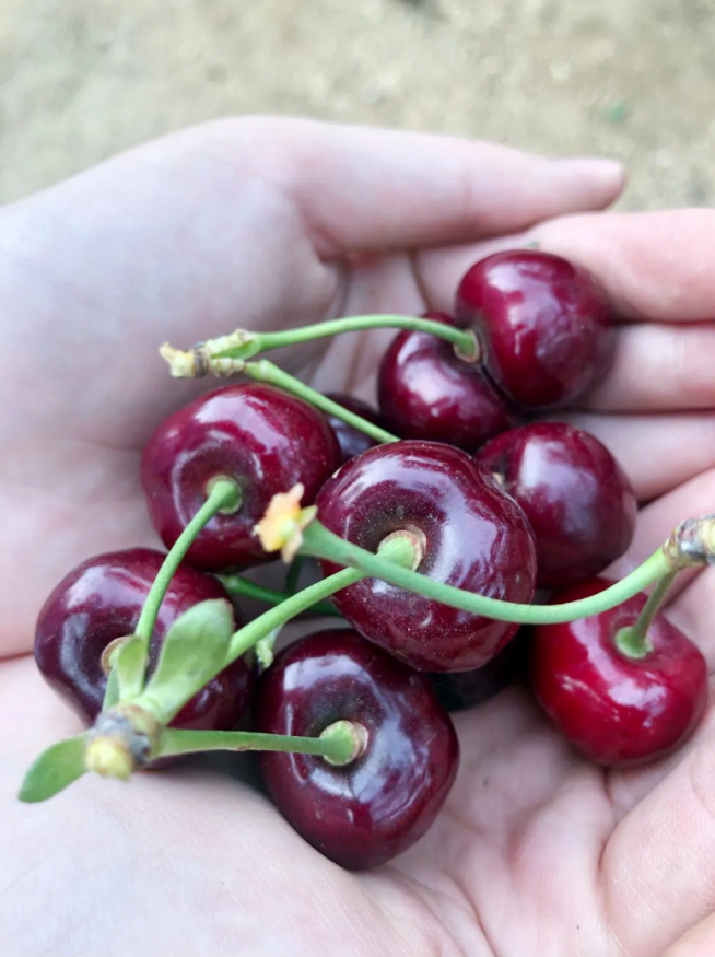 必发7790(中国区)电子集团-线上平台登录入口