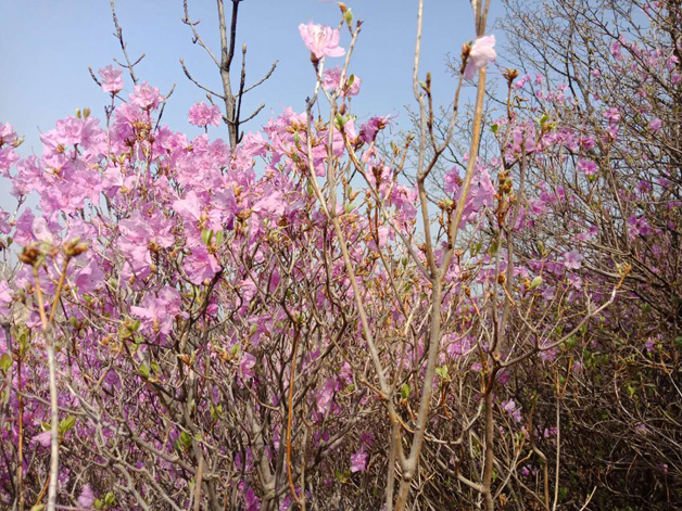 必发7790(中国区)电子集团-线上平台登录入口